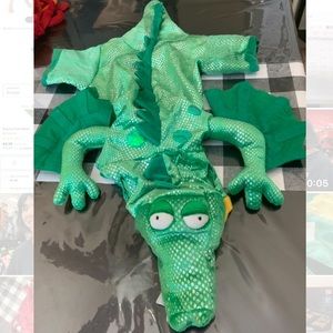 Dog Halloween costume dragon